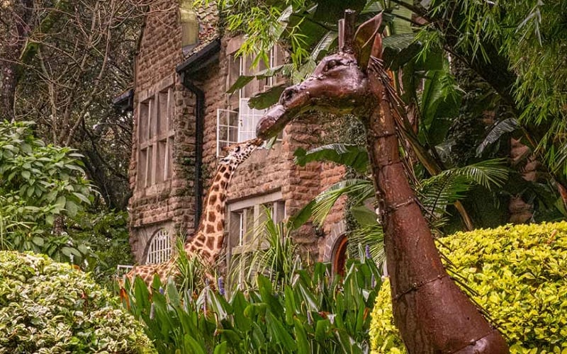 2 Day Ultimate Giraffe Experience at the Giraffe Manor 